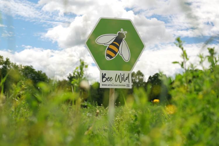 ARCOTEL Hotels | Wien | 1