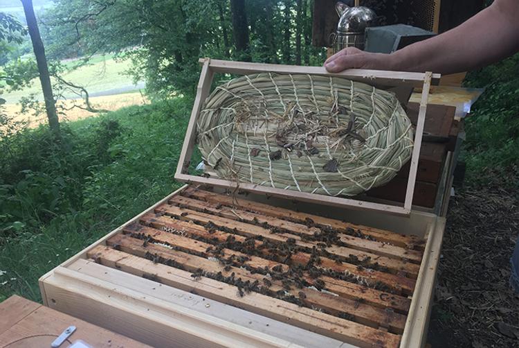 ARCOTEL Hotels | Wien | 6