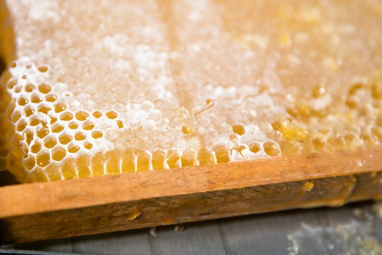 ARCOTEL Hotels | Wien | 5