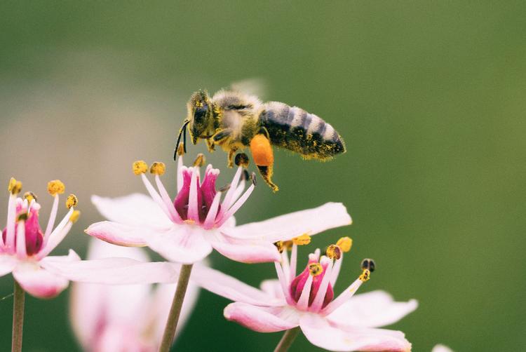 ARCOTEL Hotels | Wien | 1