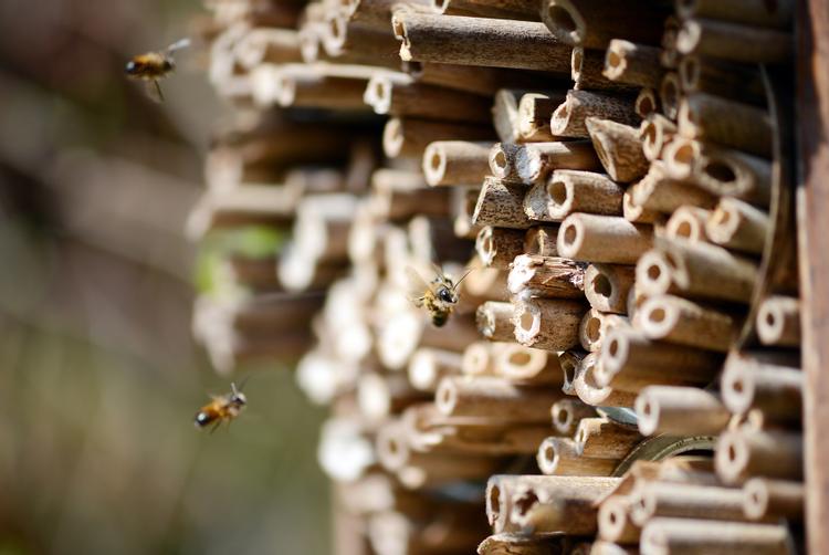 ARCOTEL Hotels | Wien | 9