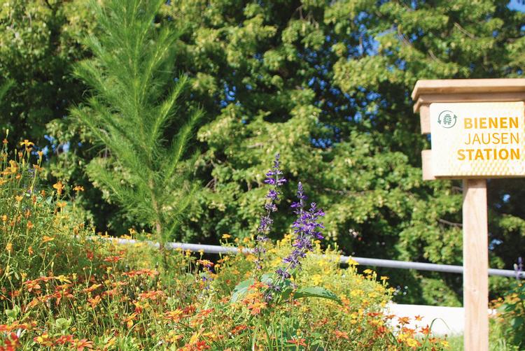 ARCOTEL Hotels | Wien | 4