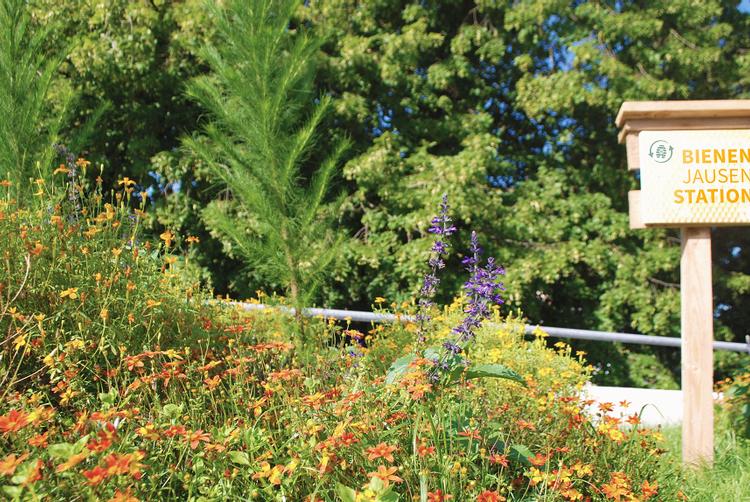 ARCOTEL Hotels | Wien | 7