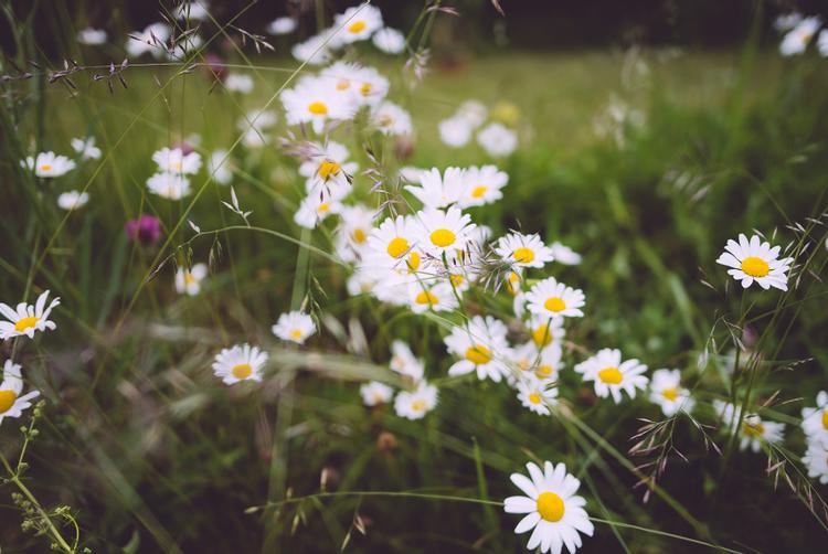 ARCOTEL Hotels | Wien | 4