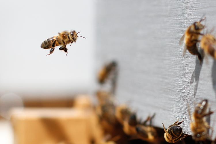 ARCOTEL Hotels | Wien | 7