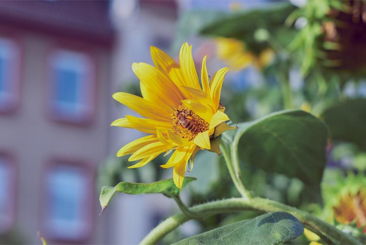 ARCOTEL Hotels | Wien | 2