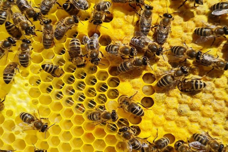 ARCOTEL Hotels | Wien | 1